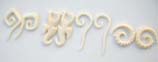 boneearring4ad