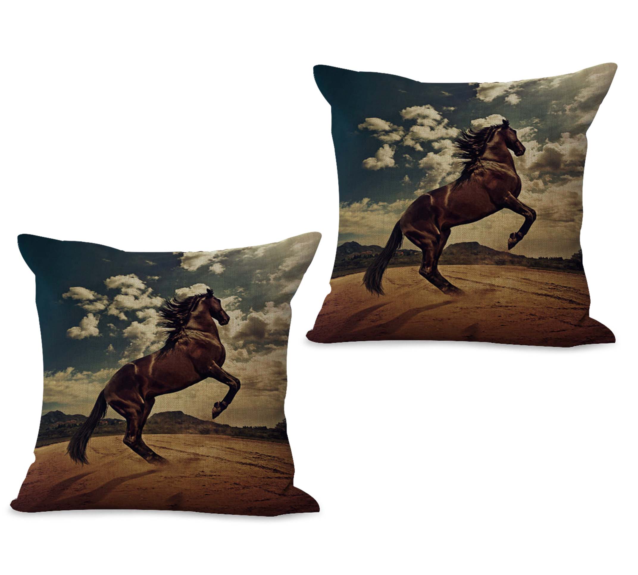 2cushioncover007