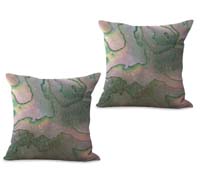 2cushioncover365