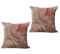 2cushioncover366
