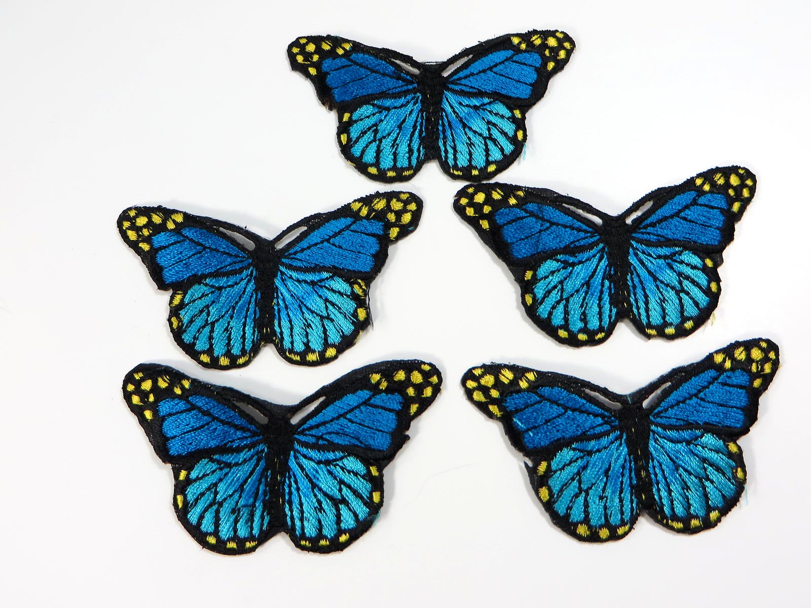 patch503e