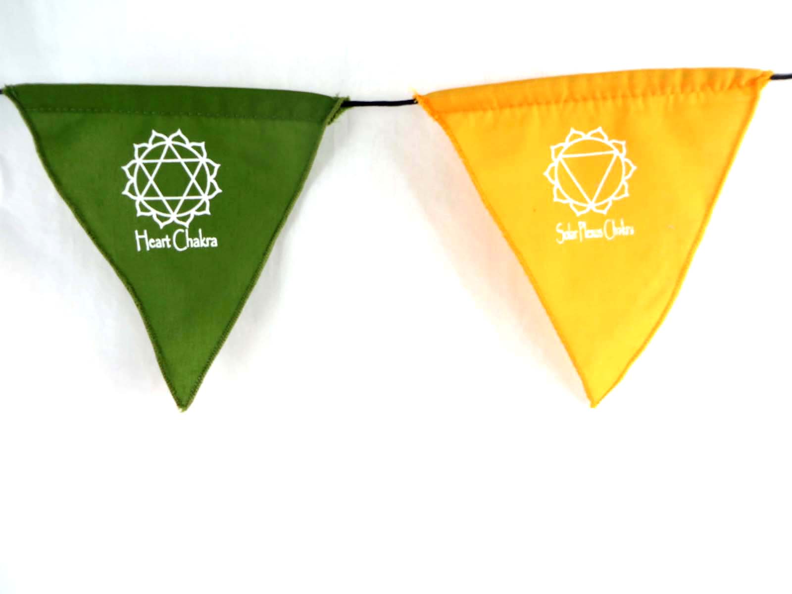 flag30-005