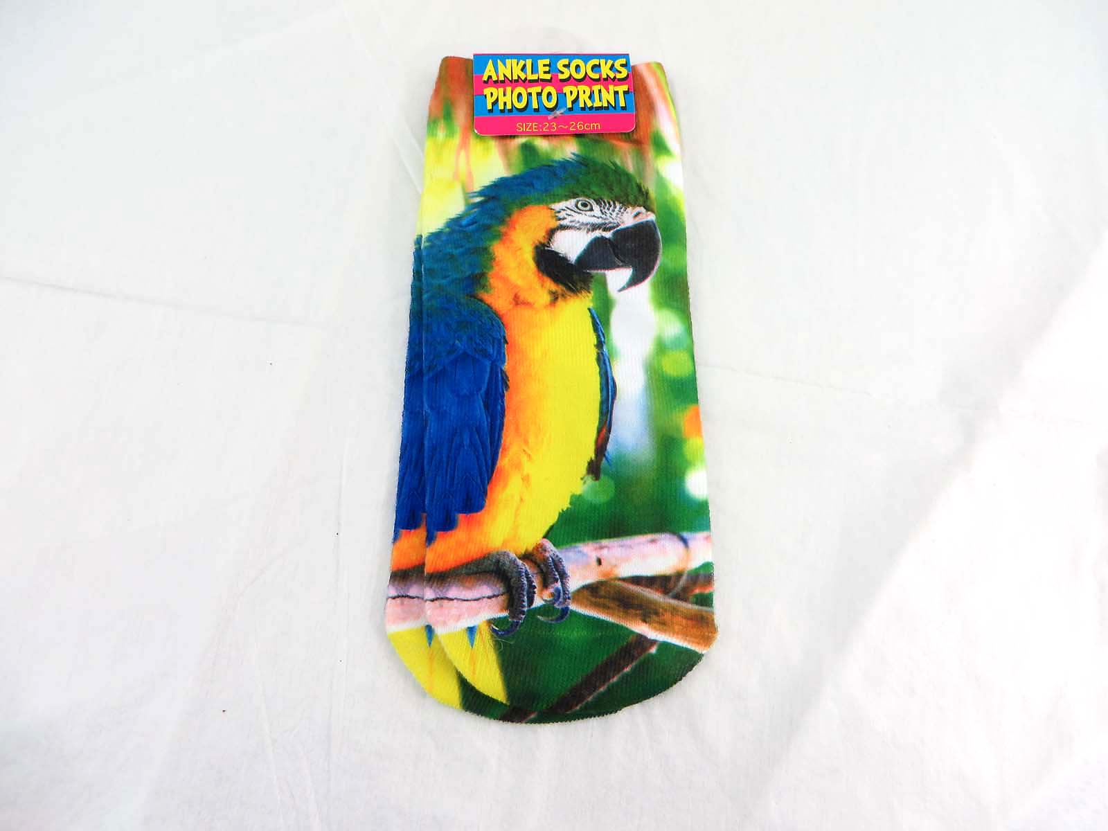 wsock12-006f