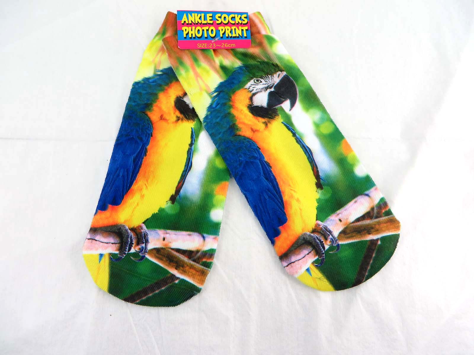 wsock12-008h