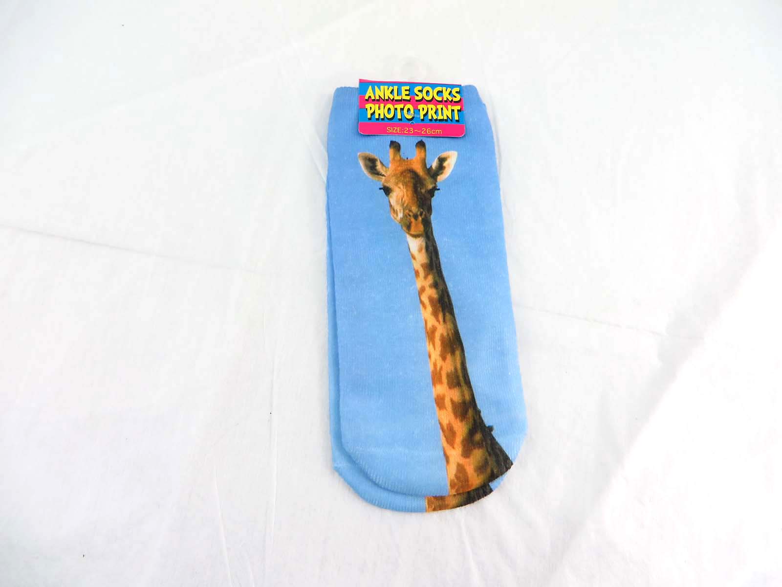 wsock12-022v