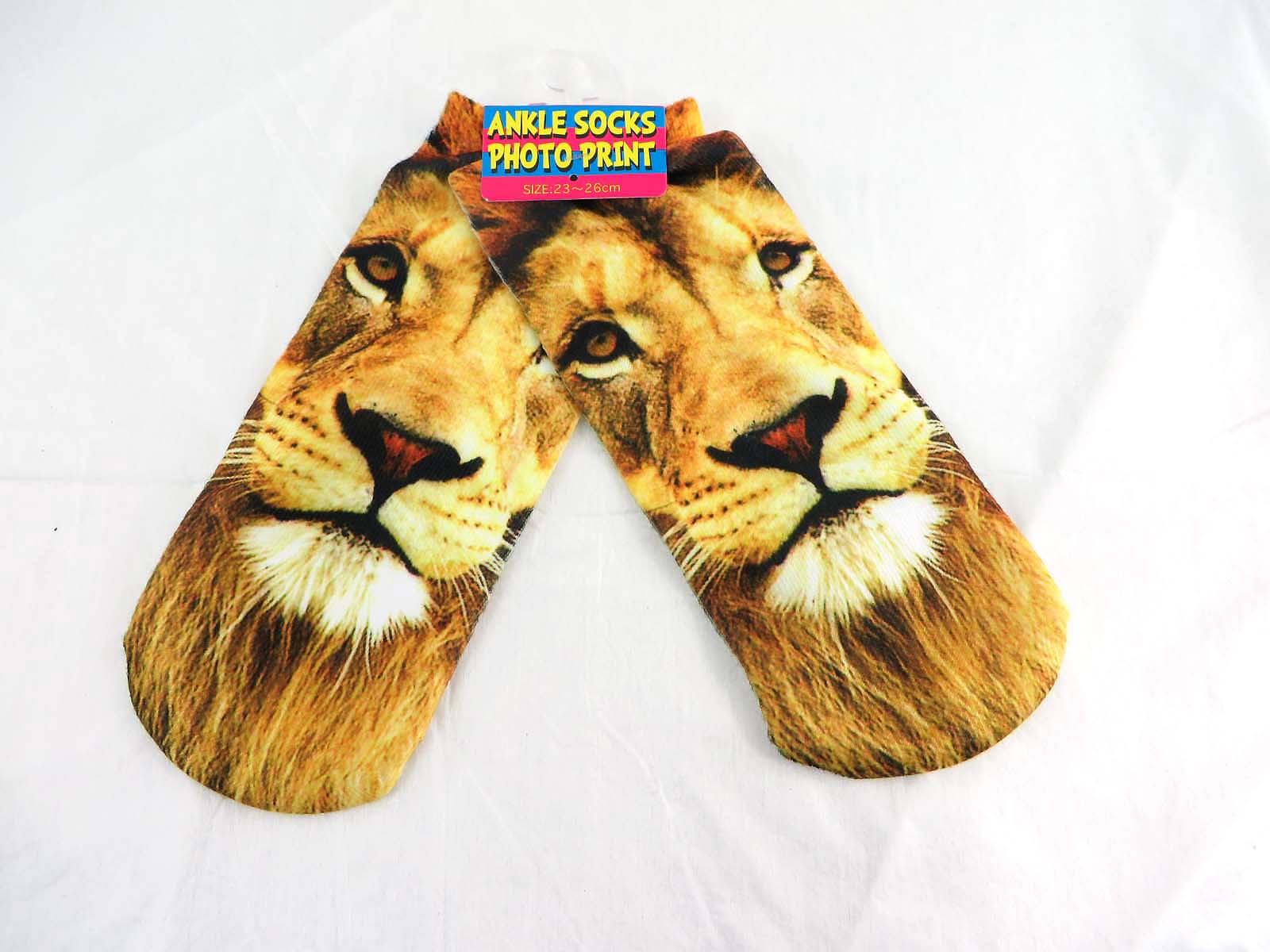 wsock13-008h