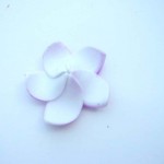 wholesale hats. Stand along foam plumeria flowers in assorted colors. Great as floating decoration on water. Please let us know by email or phone, if you want single color or assorted mix color. If not specified, we will give you mixed colors.