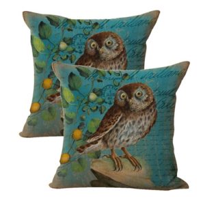 set of 2 retro distressed owl fruit cushion cover