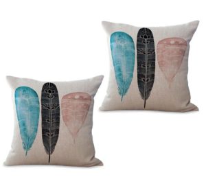 set of 2 feather cushion cover