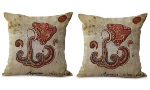 set of 2 Aquarius Zodiac cushion cover