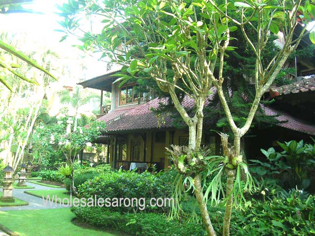 bali-indonesia-pictures-08