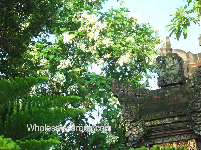 bali-photo-gallery-02