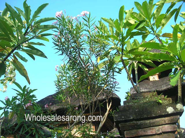 bali-photo-gallery-03
