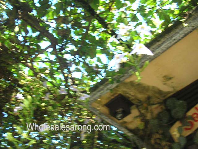bali-pictures-05
