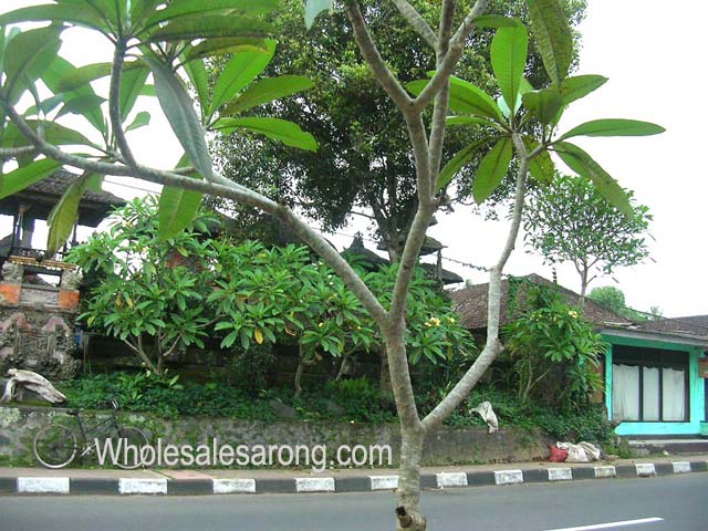 bali-travel-06