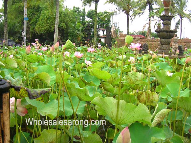 bali-villas-nearby-09