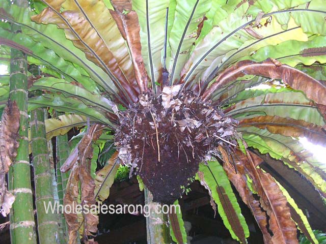 bali-villas-nearby-12