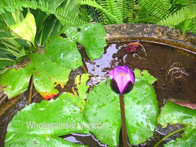 bali-villas-nearby-13