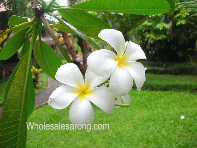 bali-villas-nearby-14