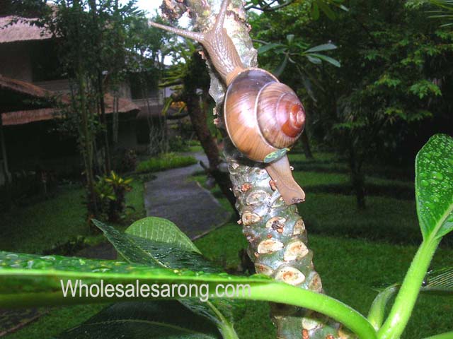 bali-villas-nearby-15