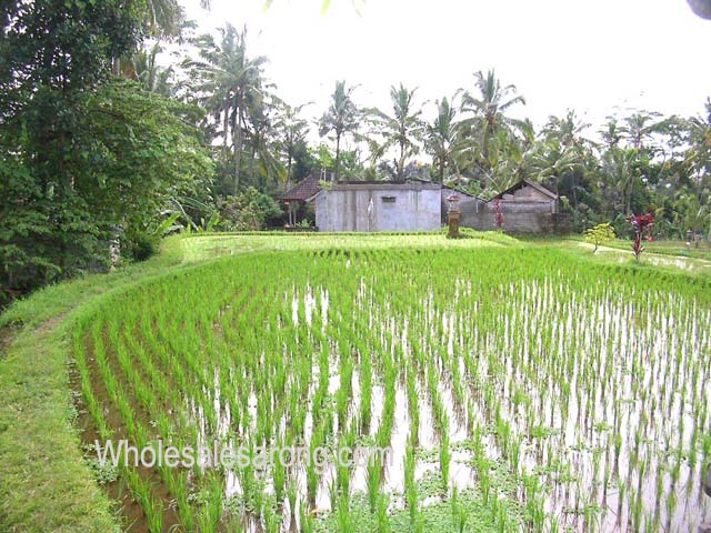 bali-villas-nearby-19