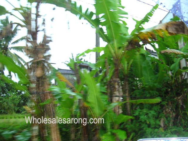 indonesia-tour-05
