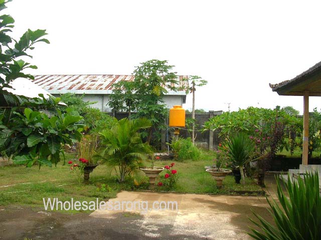 indonesia-tour-14