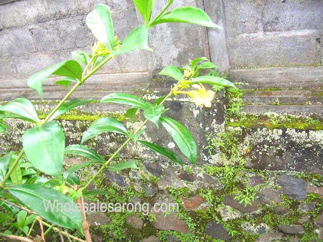 indonesia-travel-06