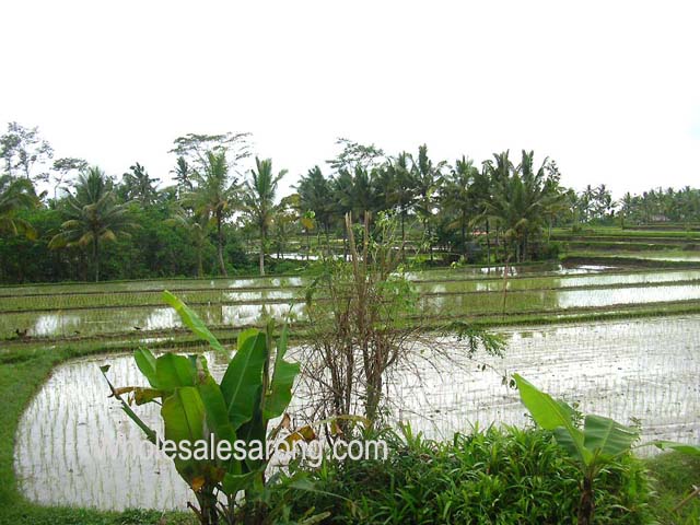 indonesia-travel-11
