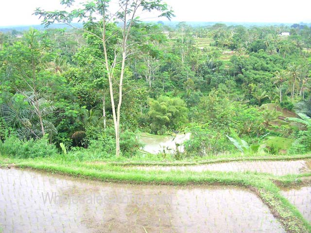 indonesia-travel-12