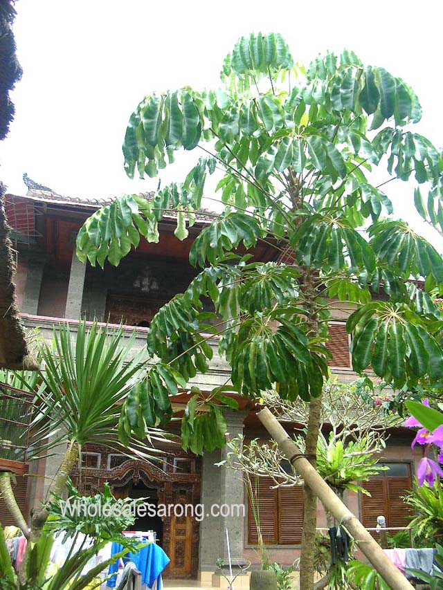 kuta-bali-13