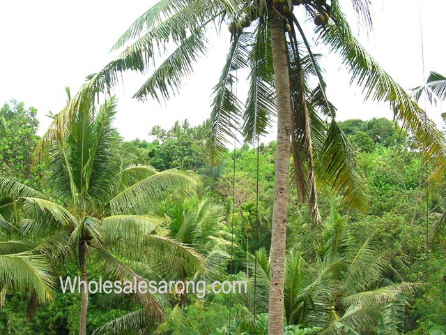tour-bali-java09