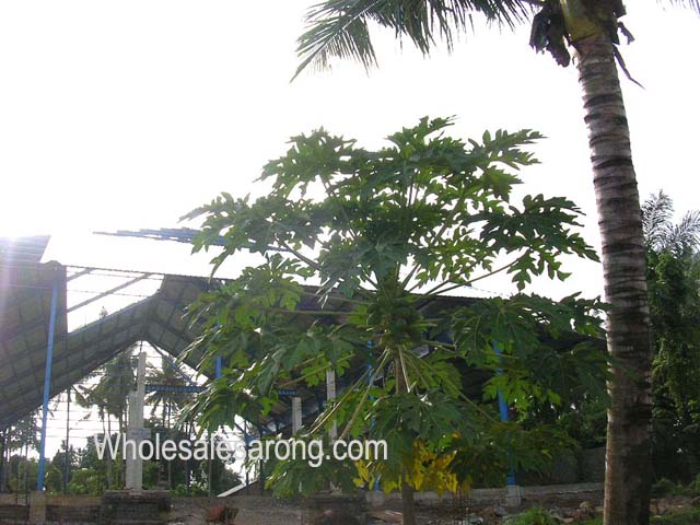 travel-bali-indonesia-01