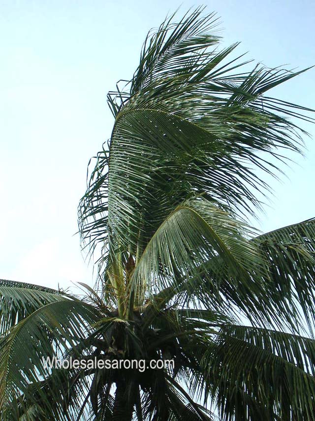 travel-bali-indonesia-03