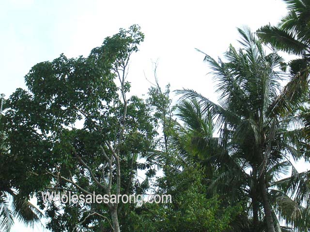 travel-bali-indonesia-04