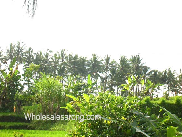 travel-bali-indonesia-08