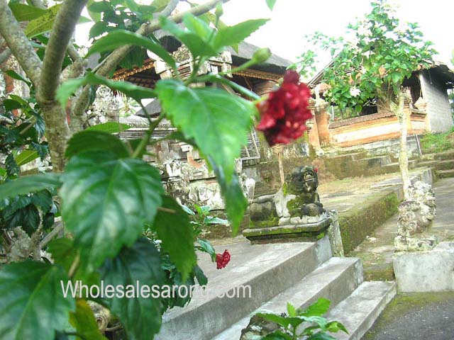 travel-bali-indonesia-15