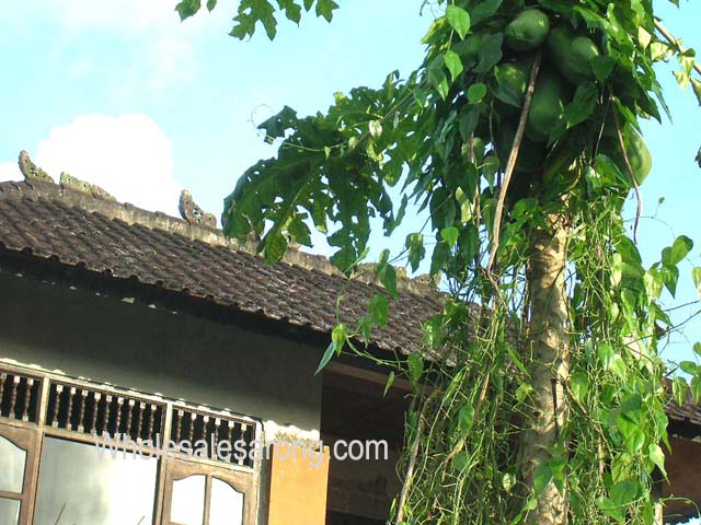 travel-bali-indonesia-16