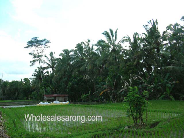 travel-bali-indonesia-17