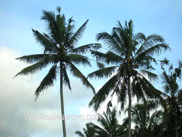 travel-bali-indonesia-18