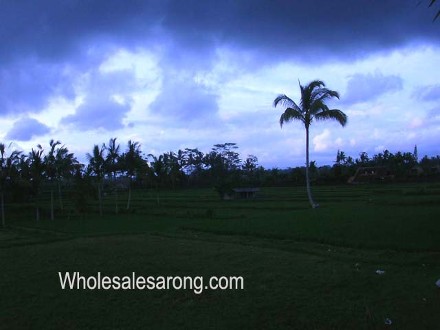 travel-bali-indonesia-19
