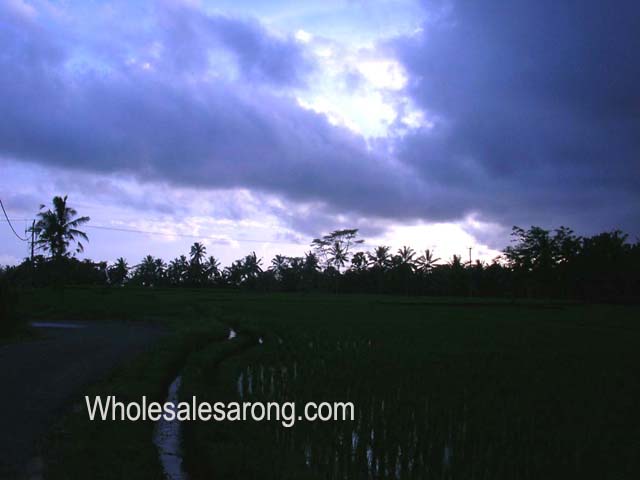 travel-bali-indonesia-21