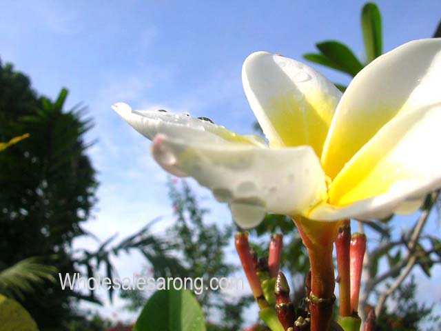 travel-bali-indonesia-24