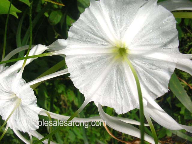 travel-bali-indonesia-26