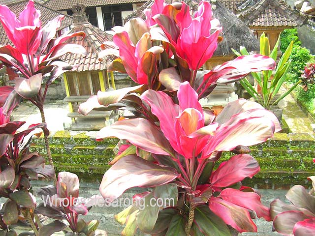 travel-photo-indonesia-02