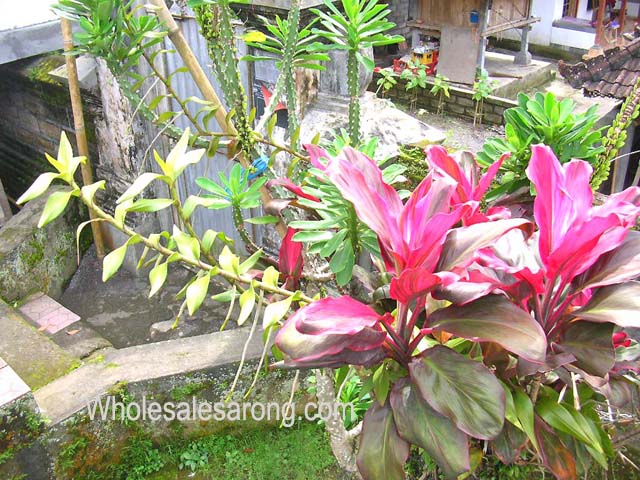 travel-photo-indonesia-03