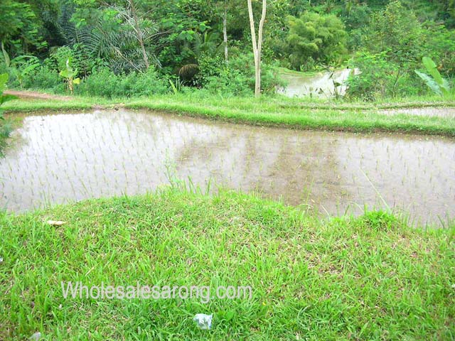 travel-photo-indonesia-09