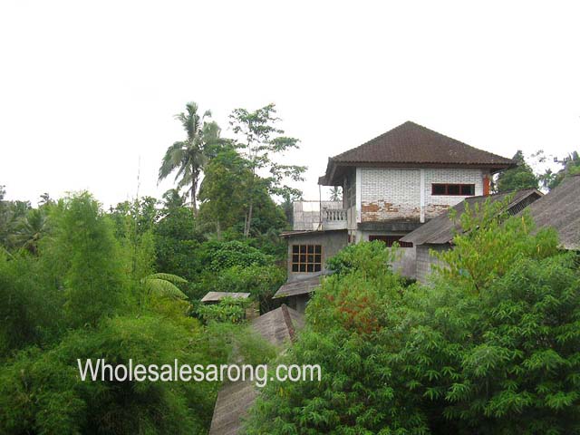 ubud-indonesia-01