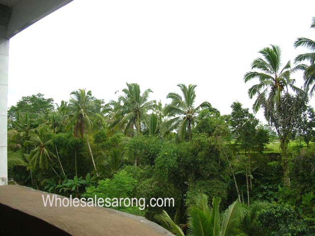 ubud-indonesia-03