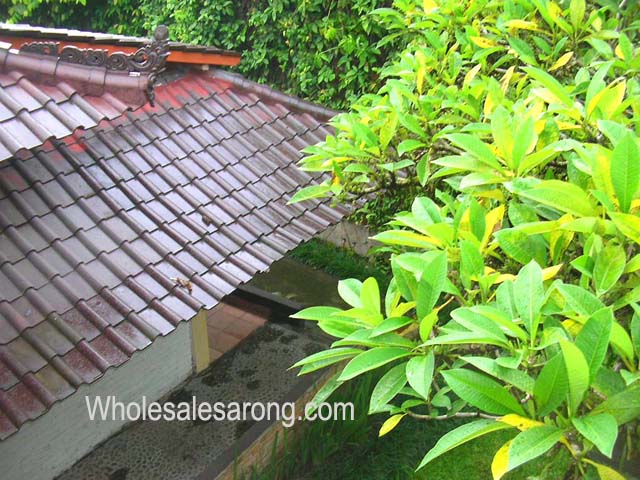ubud-indonesia-13